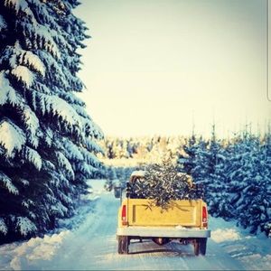 Meet your Posher, Matt